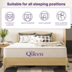 NapQueen 6" Elsa Innerspring Mattress -Baxton Studio Shop GUEST 2cbf1073 1ced 4969 86f0 a9242861442b
