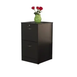 Wilson 2 Drawer Filing Cabinet - Buylateral -Baxton Studio Shop GUEST 4805f355 119c 471f bb76 d60096bb8581