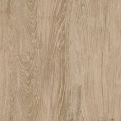 72" Loring 5 Shelf Ladder Bookshelf - Threshold™ -Baxton Studio Shop GUEST 771ef4ce 705a 492f 85e4 f9b4d952e4c0