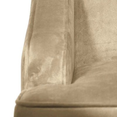 Velvet Swoop Armchair - HomePop 5 Velvet Swoop Armchair - HomePop - Image 5