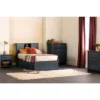 Ulysses 6 Drawer Double Dresser Blueberry - South Shore