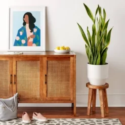 Warwick 3 Door Accent TV Stand For TVs Up To 59" - Threshold™ -Baxton Studio Shop GUEST e451e7fa 67b5 4b15 9757 882fb09e0976