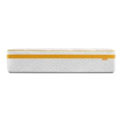 Simmons Plush 12" Hybrid Mattress -Baxton Studio Shop GUEST ecd05de8 9277 4dcf 857c 3a0c6e313878